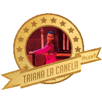 Got Talent Sticker by Mediaset España
