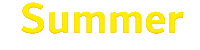 Summer Sun Sticker