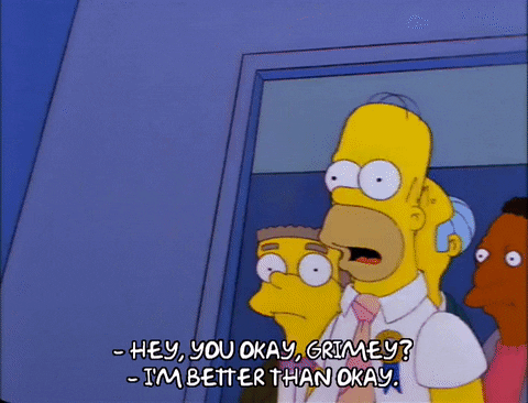 homer simpson episode 23 GIF