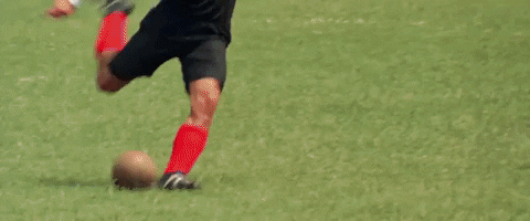 Dr_P giphygifmaker GIF