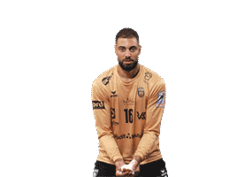 Handball Harbaoui Sticker by USDK