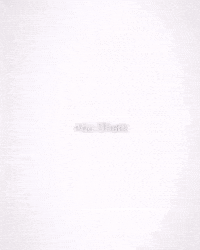 Sigma Douche GIF by Respective