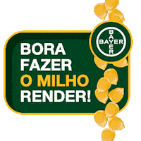 Bayer Sticker by Bollgard