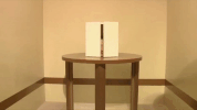 japan hello GIF