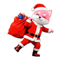 Santa Claus Christmas Sticker by yonagunifiesta