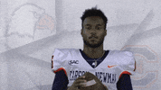 Carson Newman Football GIF by Carson-Newman Athletics