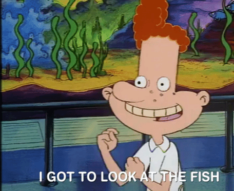 hey arnold nicksplat GIF