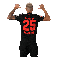 Bayer 04 Football Sticker by Bayer 04 Leverkusen