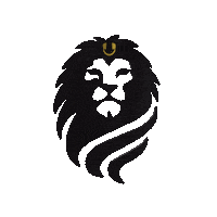 New York Gold Sticker by Nova Sound