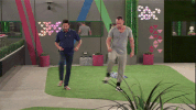 bbuk big brother reality tv cbb celebrity big brother GIF