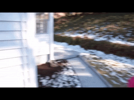 diy network first time flippers GIF