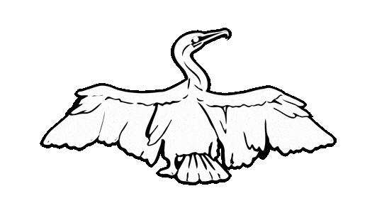 Gowanus Canal Bird Sticker by Gowanus Dredgers Canoe Club
