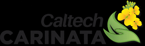 Carinata GIF by Caltechagro