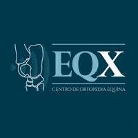 eqxvet horse cavalo eqx eqxvet GIF