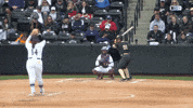 Big Ten Hype GIF by Northwestern Athletics