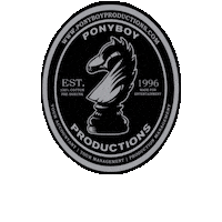 Ponyboy Sticker by jaecabrera