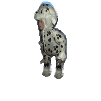 Bouncing Dog Sticker by jaecabrera