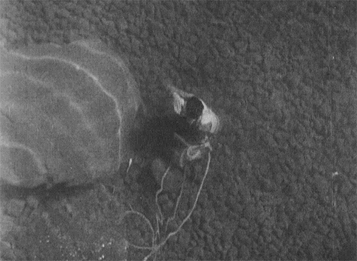 buster keaton GIF by Maudit
