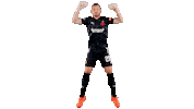Football Soccer Sticker by SK Slavia Praha