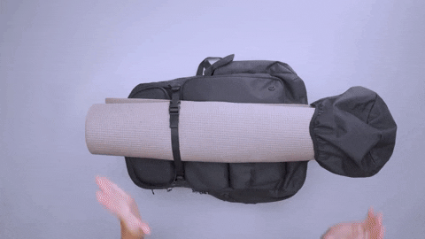 packhacker giphyupload GIF