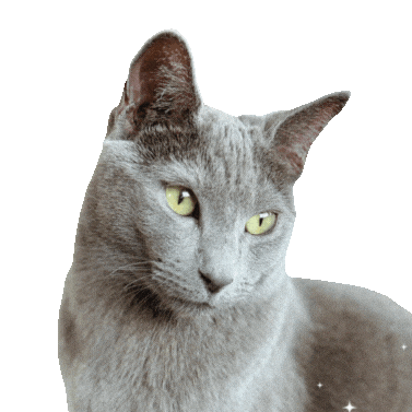 ekekeklunagarcia giphyupload cats cute cat taylorswift Sticker