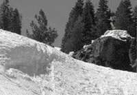 Denverorr GIF by Forum Snow