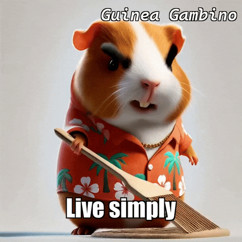 GIF by Guinea Gambino