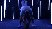 North Carolina GIF by UNC Tar Heels