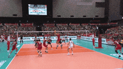 Japan Celebrate GIF by Volleyball World