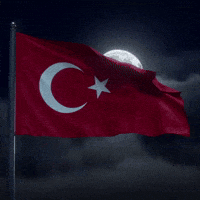 Turkish Flag GIF