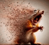 Squirrel Dust GIF