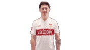 Vfb Stuttgart Football Sticker by Bundesliga