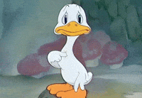 Duck GIF