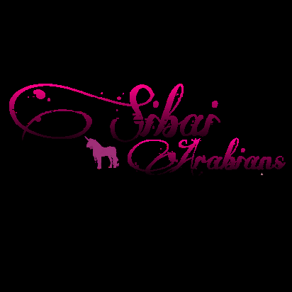 Sibai-Arabians giphygifmaker giphygifmakermobile pony pferd GIF