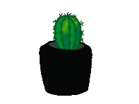 Home Plant Sticker