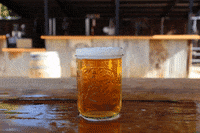 Beer Pouring GIF by Lagunitas Brewing Company