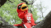 Big Red Texas GIF by Lamar University