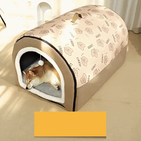 GIF chien CozyDome