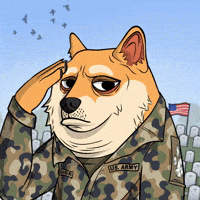 Saluting 4Th Of July GIF by Doge Pound