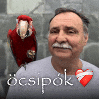 Gajdos GIF by Keddi Kosár