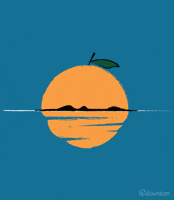 Orange Fruit Art GIF by Sam Omo