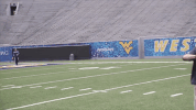big cat pft GIF by Barstool Sports