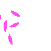 Summer Flower Sticker