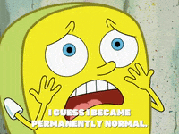 season 6 GIF by SpongeBob SquarePants