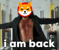 Shiba GIF by SHIB MEMES