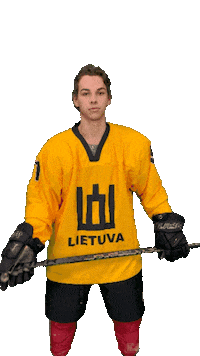 Hockeylietuva Sticker by ledoritulys.lt
