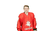 Hockey Sticker by ledoritulys.lt