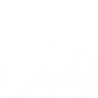 כלולה GIF by caloola