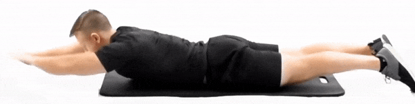 fitgagger giphyupload workout exercise floppy divers GIF