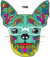 Puppy GIF by thenaturalvetsmx